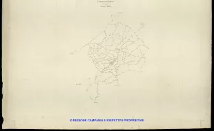 Grafico delle Poligonali