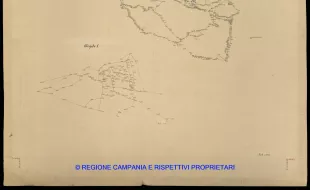 Grafico delle Poligonali