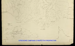 Grafico delle Poligonali