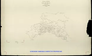 Grafico delle Poligonali