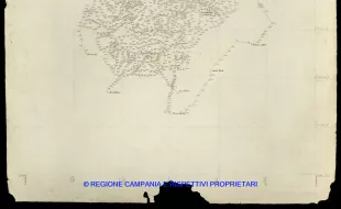 Grafico delle Poligonali