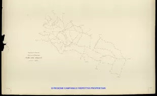 Grafico delle Poligonali