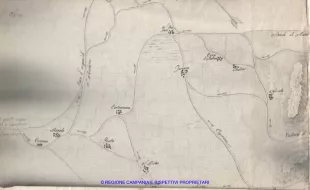 Progetto strada in sostituzione della precedente denominata "Corso di Lava" dal Villaggio Pecorari al Villaggio Casa De Angelis