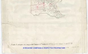 Allegati