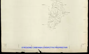 Grafico delle Poligonali