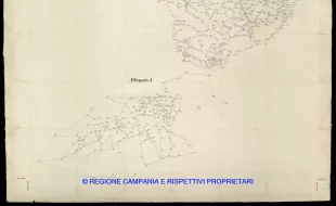 Grafico delle Poligonali