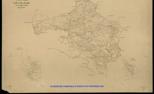Grafico delle Poligonali