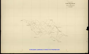 Grafico delle Poligonali