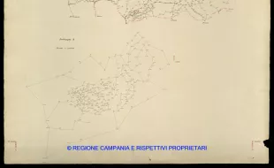 Grafico delle Poligonali