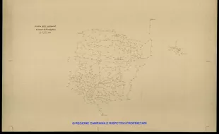 Grafico delle Poligonali