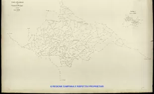 Grafico delle Poligonali