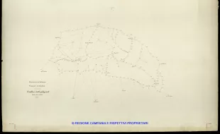 Grafico delle Poligonali