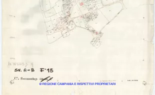 Allegati