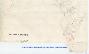 Allegati