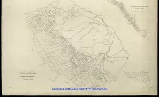 Grafico delle Poligonali