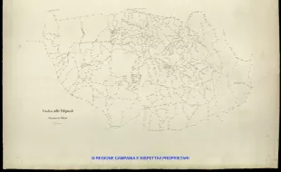 Grafico delle Poligonali