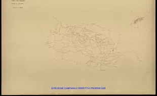 Grafico delle Poligonali