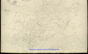 Grafico delle Poligonali