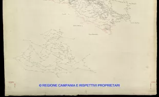 Grafico delle Poligonali