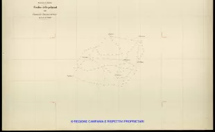 Grafico delle Poligonali