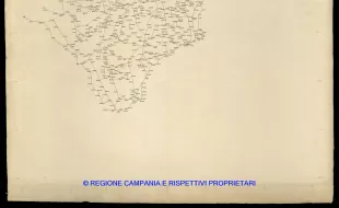 Grafico delle Poligonali