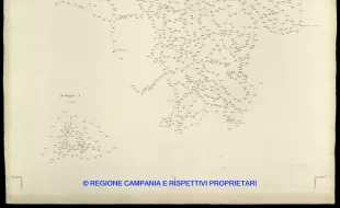 Grafico delle Poligonali