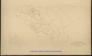 Grafico delle Poligonali