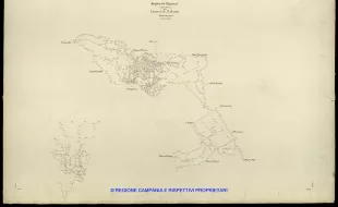 Grafico delle Poligonali
