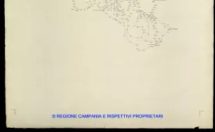 Grafico delle Poligonali