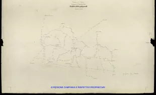 Grafico delle Poligonali
