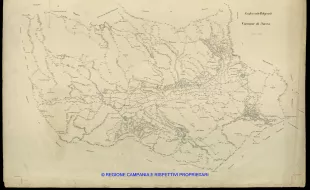 Grafico delle Poligonali