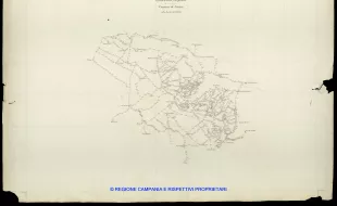 Grafico delle Poligonali