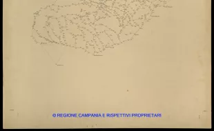 Grafico delle Poligonali