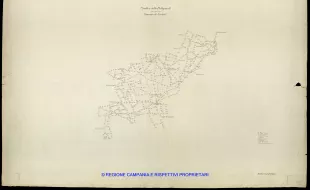 Grafico delle Poligonali
