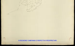 Grafico delle Poligonali