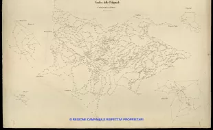 Grafico delle Poligonali