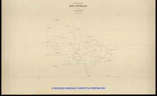 Grafico delle Poligonali