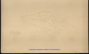 Grafico delle Poligonali