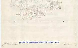 Allegati