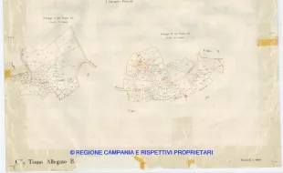 Allegati