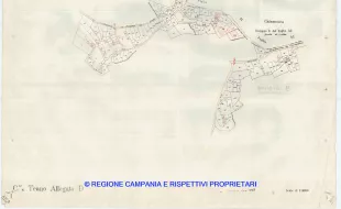 Allegati