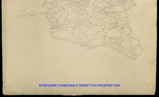 Grafico delle Poligonali
