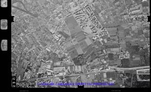 AEROFOTO IGM 1981 292
