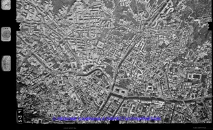 AEROFOTO IGM 1981 335