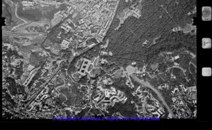 AEROFOTO IGM 1981 356