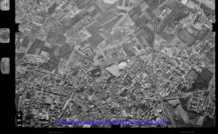 AEROFOTO IGM 1981 394
