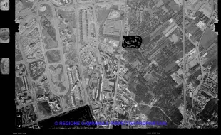 AEROFOTO IGM 1981 414