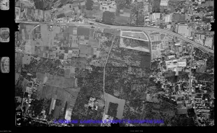 AEROFOTO IGM 1981 452
