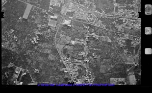 AEROFOTO IGM 1981 461
