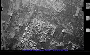 AEROFOTO IGM 1981 463